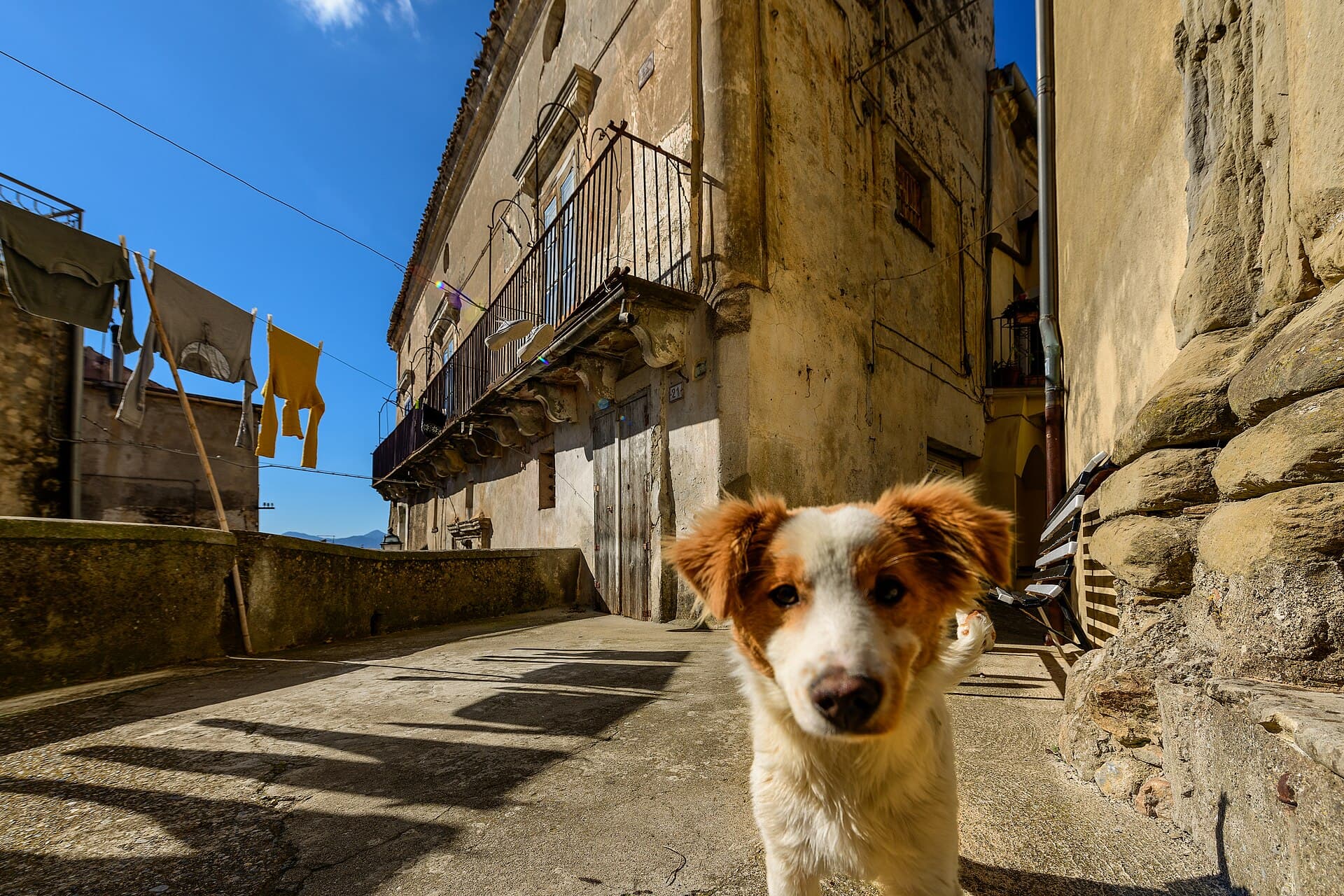 Altomonte, borgo d'arte alle porte del Pollino