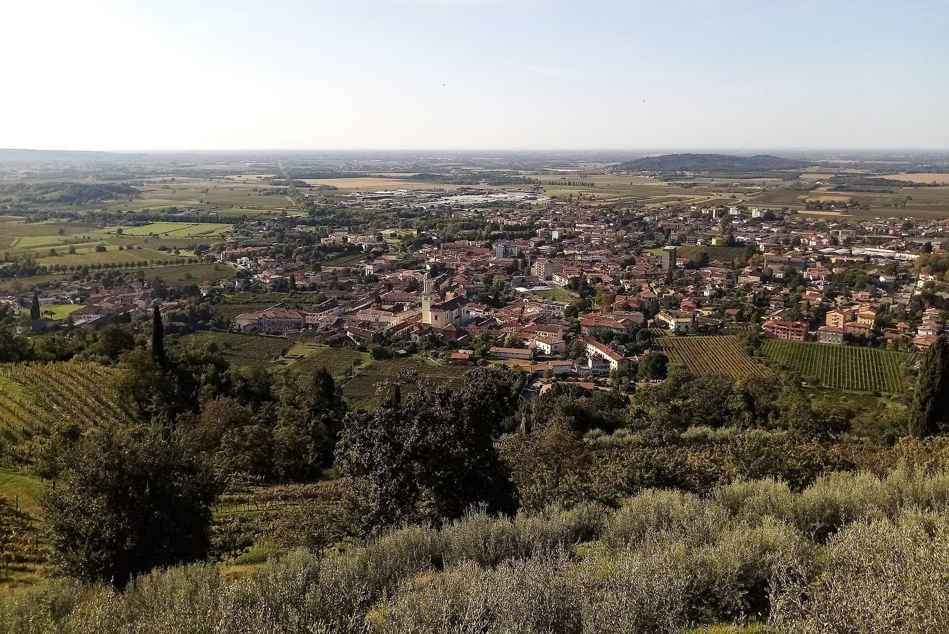 Cormons e i vigneti del Collio visti dal Monte Quarin